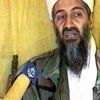 Taliban’dan Bin Ladin iddiası