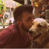 2 yıllık hukuk mücadelesi bitti: Mahkeme, 'Marley'i Osman'a verdi 2 yıllık hukuk mücadelesi bitti: Mahkeme, 'Marley'i Osman'a verdi