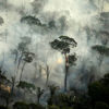 Amazon ormanlarında 10 günde 10 bin yangın çıktı: Brezilya Devlet Başkanı “Yok öyle bir şey” dedi