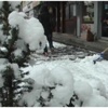 Kars Ve Erzurum'a Kar Yağdı Kars Ve Erzurum'a Kar Yağdı