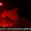 Fenerbahçe de 3 isim Gaziantep e götürülmedi