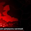 İzmir de zam şampiyonu sarımsak