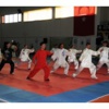 Pursaklar’da wushu şöleni