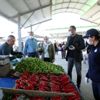 Toroslar zabıtasından pazar esnafına 3 metre uyarısı