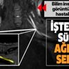 SON DAKİKA: Bilim insanları ilk kez görüntüledi! İşte yeni tip koronavirüsün sinir sisteminde yarattığı hasar SON DAKİKA: Bilim insanları ilk kez görüntüledi! İşte yeni tip koronavirüsün sinir sisteminde yarattığı hasar