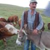Eşekleri vermedi, belgeyi imzaladı Eşekleri vermedi, belgeyi imzaladı