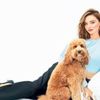 Miranda Kerr: Önceliklerim değişti