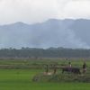 Arakan'da Myanmar askerleri ve Budist milliyetçilerin yaktığı köylerden yükselen dumanlar Bangladeş tarafından net şekilde görülüyor
