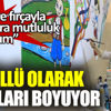 Gönüllü olarak okulları boyuyor Gönüllü olarak okulları boyuyor