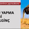 Merkel Türk öğrencilere Atatürkü sordu Merkel Türk öğrencilere Atatürkü sordu