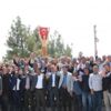 Evet rekoru Harran’da Evet rekoru Harran’da