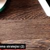 İç borçlanma stratejisi (2) İç borçlanma stratejisi (2)