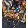 Sakarya’da paraşütçü ölümden döndü Sakarya’da paraşütçü ölümden döndü