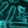 Uzmanlar uyardı: 'Antibiyotik kıyameti'nin eşiğindeyiz Uzmanlar uyardı: 'Antibiyotik kıyameti'nin eşiğindeyiz