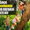 Ağaca tırmananlar bu habere dikkat! Öyle bir faydası var ki Ağaca tırmananlar bu habere dikkat! Öyle bir faydası var ki