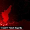 Patatesin "ateşini" hasat düşürdü Patatesin "ateşini" hasat düşürdü