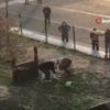 Mehmetçik Bakü'yü inletti Mehmetçik Bakü'yü inletti