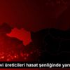 Ordulu kivi üreticileri hasat şenliğinde yarıştı