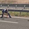 Canını hiçe saldı, otoyoldan lastik topladı