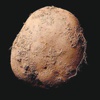 1 milyon dolarlık patates