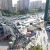 Şirinevler Meydanı'nı arılar bastı!