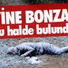 Samsun'daki kuvvetli rüzgar Samsun'daki kuvvetli rüzgar