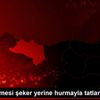 Fındık ezmesi şeker yerine hurmayla tatlandırıldı Fındık ezmesi şeker yerine hurmayla tatlandırıldı