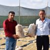 Anadolu nun meşhur tarhanasından cips Anadolu nun meşhur tarhanasından cips