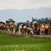Hollanda'dan skandal Arakan kararı