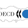OECD Türkiye için büyüme tahminini düşürdü OECD Türkiye için büyüme tahminini düşürdü