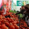 Tanzim satışlar diğer şehirlere yayılıyor Tanzim satışlar diğer şehirlere yayılıyor