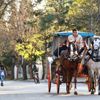 Adalar için ulaşım çalışması tamamlandı