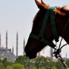 KPSS başvuruları yarın başlıyor KPSS başvuruları yarın başlıyor