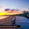 Samsun da küçükbaş hayvanlarda görülen hastalık Samsun da küçükbaş hayvanlarda görülen hastalık