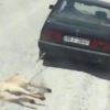 Türkiye'yi ayağa kaldıran görüntü hakkında şok detay! Türkiye'yi ayağa kaldıran görüntü hakkında şok detay!