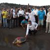 Tedavi edilen 4 caretta caretta denizle buluştu