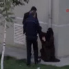 Başakşehir'de bir Çeçen cinayeti daha! Başakşehir'de bir Çeçen cinayeti daha!