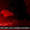 Siirt te karda kalan yavru kediye çocuklar sahip çıktı Siirt te karda kalan yavru kediye çocuklar sahip çıktı