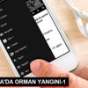 Son dakika haberleri! MUDANYA DA ORMAN YANGINI-1 Son dakika haberleri! MUDANYA DA ORMAN YANGINI-1
