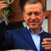 Cumhurbaşkanı Erdoğan Bosna-Hersek'e gidecek Cumhurbaşkanı Erdoğan Bosna-Hersek'e gidecek