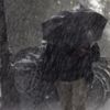 Meteoroloji bölge bölge uyardı! Meteoroloji bölge bölge uyardı!