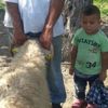 Babasının kucağından düşen çocuk hayatını kaybetti