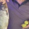 Balıkçılar yeni sezonu heyecanla bekliyor Balıkçılar yeni sezonu heyecanla bekliyor