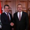 Barzani'den flaş PKK açıklaması
