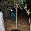Cizre'de bir eve el yapımı bomba atıldı!