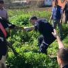 Adapazarı'nda kuyuya düşen ineği itfaiye kurtardı
