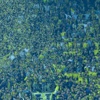 Fenerbahçeli taraftarlar için soruşturma Fenerbahçeli taraftarlar için soruşturma