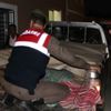 Ayının saldırısına uğrayan kişi öldü
