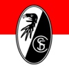 Freiburg, Bundesliga'da