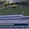 Libya jetleri yanlışlıkla Yunan tankerini vurdu Libya jetleri yanlışlıkla Yunan tankerini vurdu